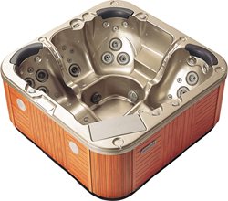 СПА-бассейн SKT338B-3